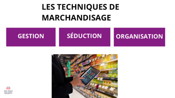 Cette mallette Actonexam va vous aider à réussir le BTS Management Commercial Opérationnel de l’épreuve E42 ADOC du BTS MCO. Grâce à notre mallette de cours BTS MCO sur l’organisation de l’espace commercial, vous disposerez de toute la formation nécessaire pour bien comprendre l’agencement et le maintien de l’espace commercial, physique comme digital, nécessaire à votre réussite de cette épreuve du BTS MCO.