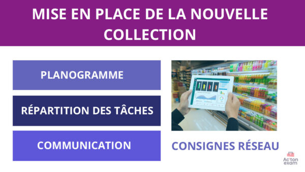 Cette mallette Actonexam va vous aider à réussir le BTS Management Commercial Opérationnel de l’épreuve E42 ADOC du BTS MCO. Grâce à notre mallette de cours BTS MCO sur l’organisation de l’espace commercial, vous disposerez de toute la formation nécessaire pour bien comprendre l’agencement et le maintien de l’espace commercial, physique comme digital, nécessaire à votre réussite de cette épreuve du BTS MCO.