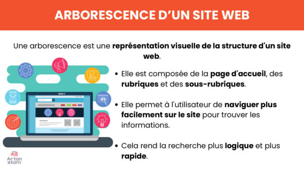 Cette mallette Actonexam va vous aider à réussir l’épreuve E5 RCDD du BTS NDRC (Négociation et Digitalisation de la Relation Client). Avec ces supports de cours sur la structure d’un site vitrine, vous disposerez de toute la formation nécessaire pour bien comprendre les concepts d’arborescence et d’ergonomie d’un site web.