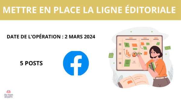 Cette mallette Actonexam va vous aider à réussir le BTS Management Commercial Opérationnel de l’épreuve E42 ADOC du BTS MCO. Grâce à notre mallette de cours BTS MCO sur la mise en œuvre d’un plan de communication, vous disposerez de toute la formation nécessaire pour bien comprendre la mise en place de la communication sur le lieu de vente, nécessaire à votre réussite de cette épreuve du BTS MCO.